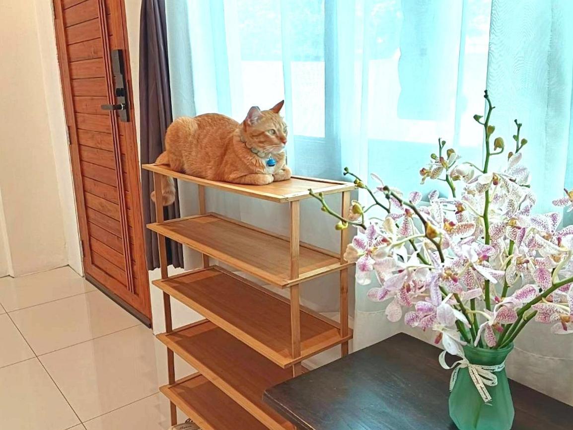 Sasima Bed And Breakfast Τσιάνγκ Μάι Εξωτερικό φωτογραφία